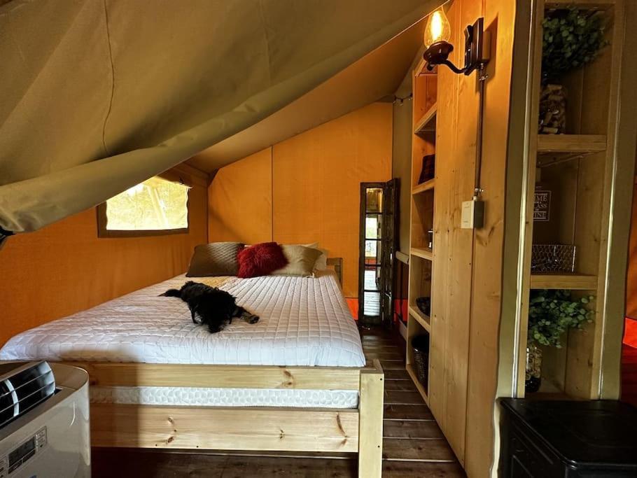 Готель 12 Fires Luxury Glamping With Heating #5 Джонсон-Сіті Екстер'єр фото